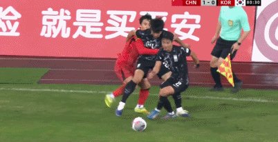 白鹤.gif