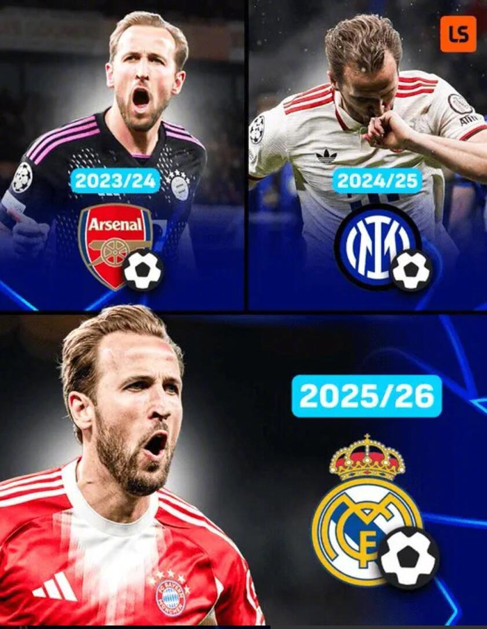 YY直播-凯恩连续3赛季欧冠客场1/4决赛破门，伯纳乌再斩皇马|哈里·凯恩|拜仁慕尼黑|阿森纳|皇家马德里|哈里凯恩_新浪体育_新浪新闻